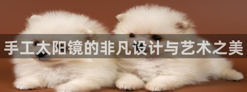 新宝5娱乐同