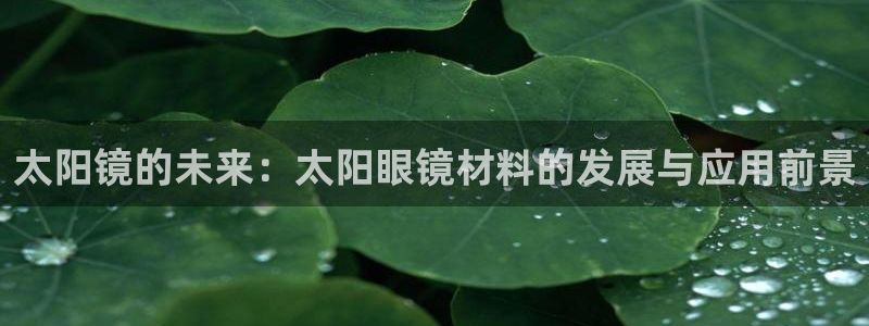 新宝5的网址