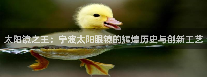 新宝5官网