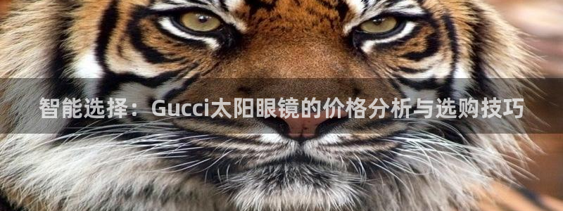 新宝股东瞧听2 5 5