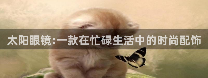 新宝cR一5