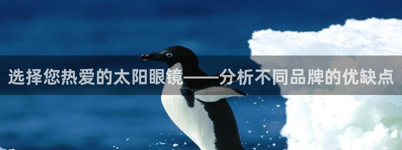 新宝5开户