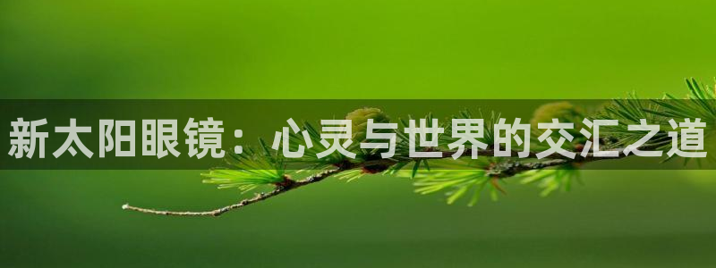 新宝5下载测试