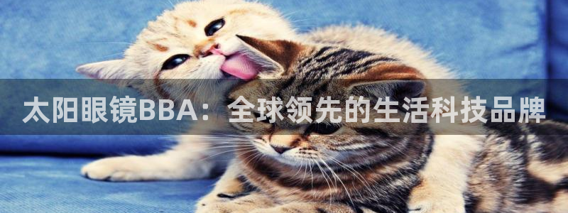 新宝股东瞧听2 5 5