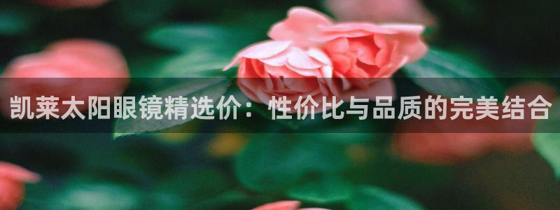 新宝娱乐5