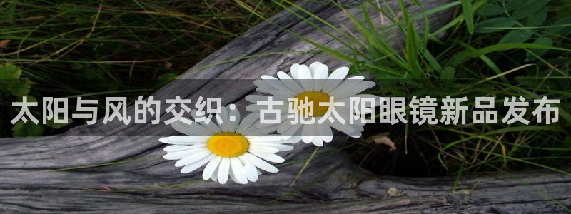 新宝5app手机下载
