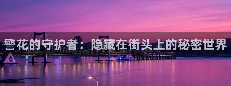 新宝5招商